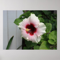 Colorful flower. posters