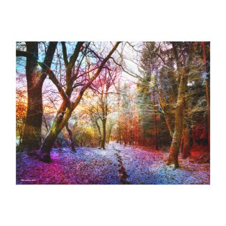 Colorful Frosted Forest Landscape Canvas Print