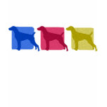 german, shorthaired, pointer, shorthair, short,