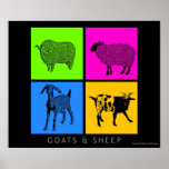 Colorful Goats and Sheep Posters