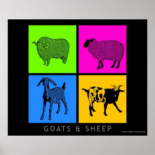 Colorful Goats and Sheep Posters
