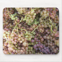 COLORFUL GRAPES by SHARON SHARPE mousepads