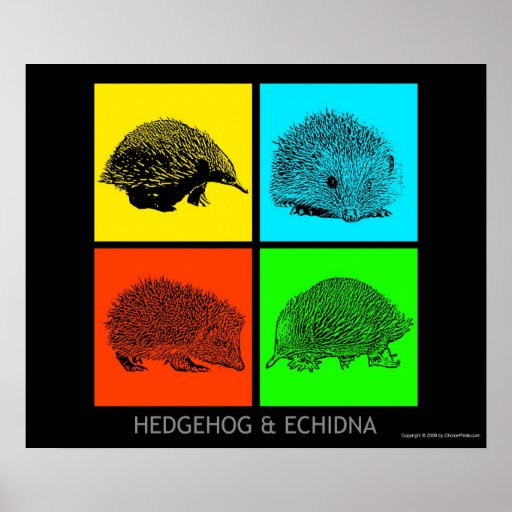 Colorful Hedgehog and Echidna Print