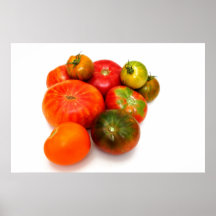 Colorful Heirloom Tomatoes Poster