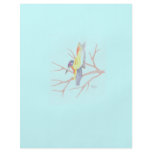 Colorful Humming Bird Flyers