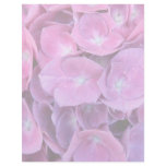 Colorful Hydrangea Flowers Full Color Flyer