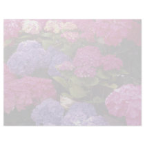 Colorful Hydrangea Personalized Letterhead