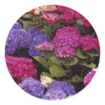 Colorful Hydrangea Stickers