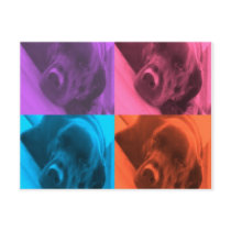 Colorful Labrador postcard