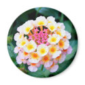 Colorful Lantana magnets by princessklb07 Colorful Lantana magnets
