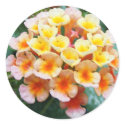 Colorful Lantana stickers by princessklb07 Colorful Lantana stickers