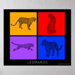 Colorful Leopards Posters
