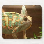 colorful lizzard mouse pads