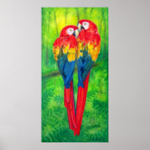 Colorful Love Birds Parrots Poster Art