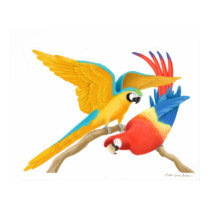 Colorful Macaws posters by twopurringcats Colorful Macaws posters