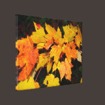 Colorful Maple Leaves canvas prints
