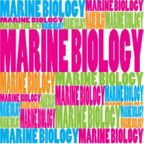 Colorful Marine Biology photo sculptures