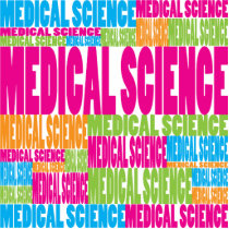 Colorful Medical Science photo sculptures by busybees Colorful Medical Science photo sculptures