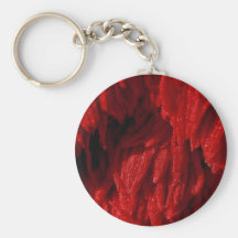 Colorful Mop brush Key Chains