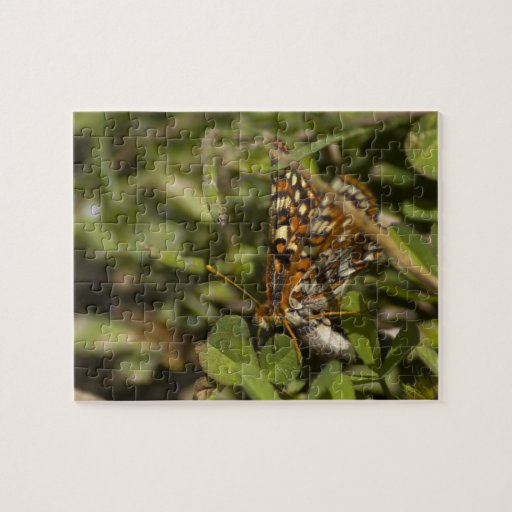 Colorful Moth Puzzle Zazzle