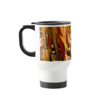 colorful mugs