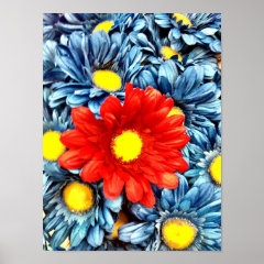 Colorful Orange Red Blue Gerber Daisies Flowers Print