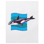 colorful orca design flyers