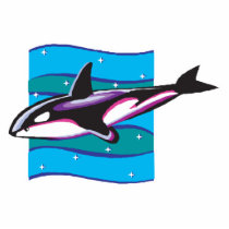 colorful orca design photo cutouts
