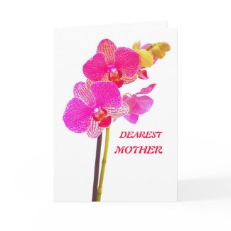 Colorful orchid. zazzle_card