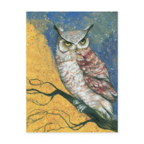 colorful owl postcard