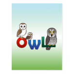 Colorful Owl Postcards