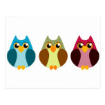 Colorful Owl Trio Postcard