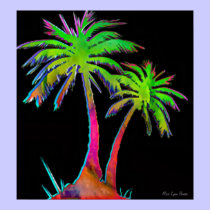 Colorful Palm Tree Poster posters