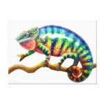 Colorful Panther Chameleon Lizard Wrapped Canvas canvas prints