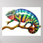 Colorful Panther Chameleon Print print