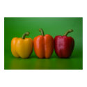 colorful paprika posters
