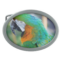 Colorful Parrot Belt Buckle