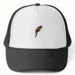 Colorful Parrot Hats