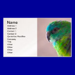 Colorful-parrot-plumage707 PARROT BIRD EXOTIC TEAL business cards