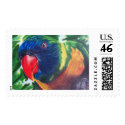 Colorful Parrot Stamp stamp