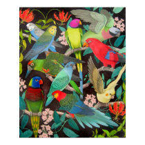 Colorful Parrots and Parakeets Poster posters by twopurringcats Colorful Parrots and Parakeets Poster posters
