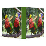Colorful Parrots Binder