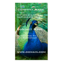 Colorful Peacock Business Card
