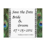 Colorful Peacock Eyes Wedding Save the Date Post Cards
