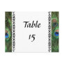 Colorful Peacock Eyes Wedding Table Numbers Postcards
