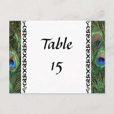 Colorful Peacock Eyes Wedding Table Numbers Postcards by ChristyWyoming