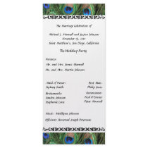 Colorful Peacock Feather Wedding Program Custom Rack Cards