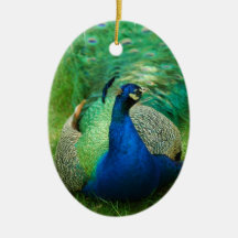 Colorful Peacock Ornament