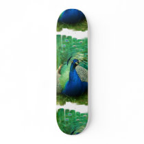Colorful Peacock Skateboard