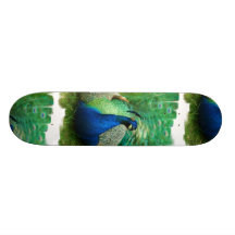 Colorful Peacock Skateboard